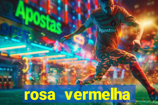 rosa vermelha (letra e cifra)